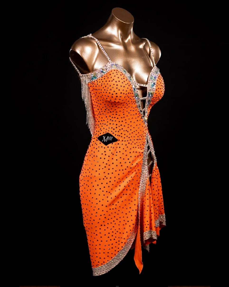 Rhythm, Latin, Smooth Ballroom dress for Rent/ Sale USA