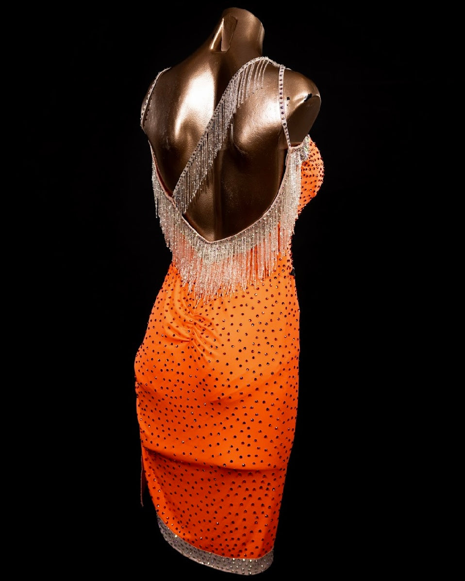 Rhythm, Latin, Smooth Ballroom dress for Rent/ Sale USA