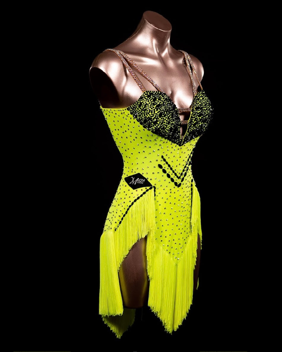 Rhythm, Latin, Smooth Ballroom dress for Rent/ Sale USA