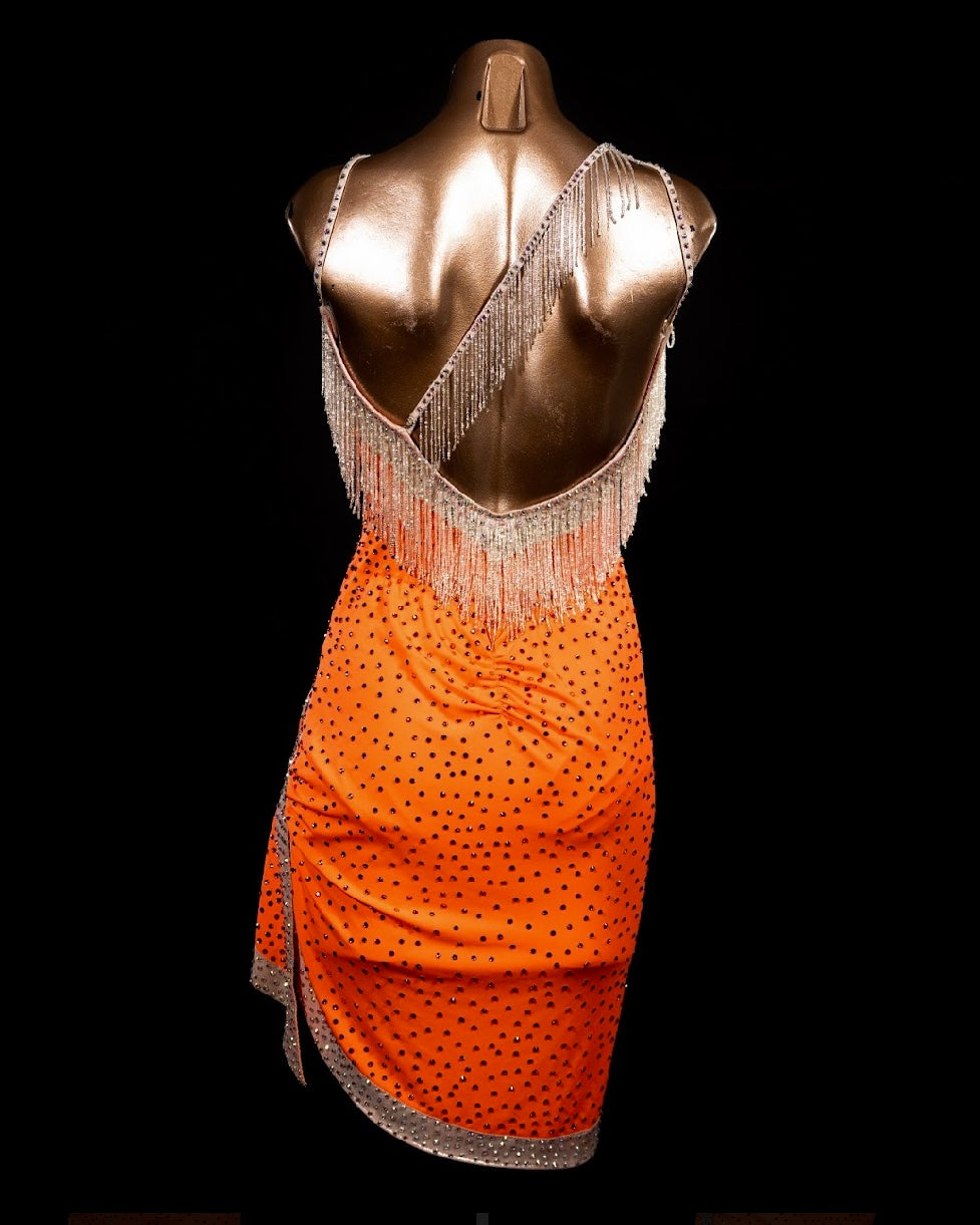 Rhythm, Latin, Smooth Ballroom dress for Rent/ Sale USA