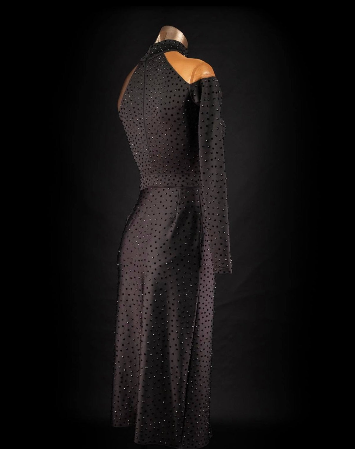 Rhythm, Latin, Smooth Ballroom dress for Rent/ Sale USA