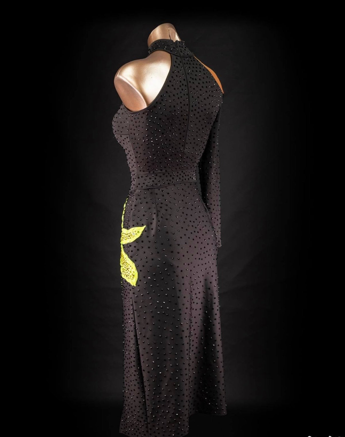 Rhythm, Latin, Smooth Ballroom dress for Rent/ Sale USA