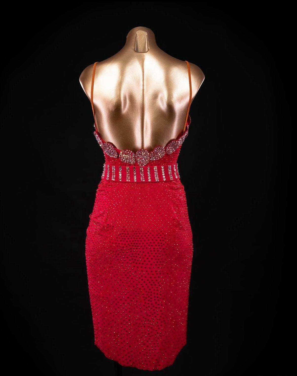 Rhythm, Latin, Smooth Ballroom dress for Rent/ Sale USA