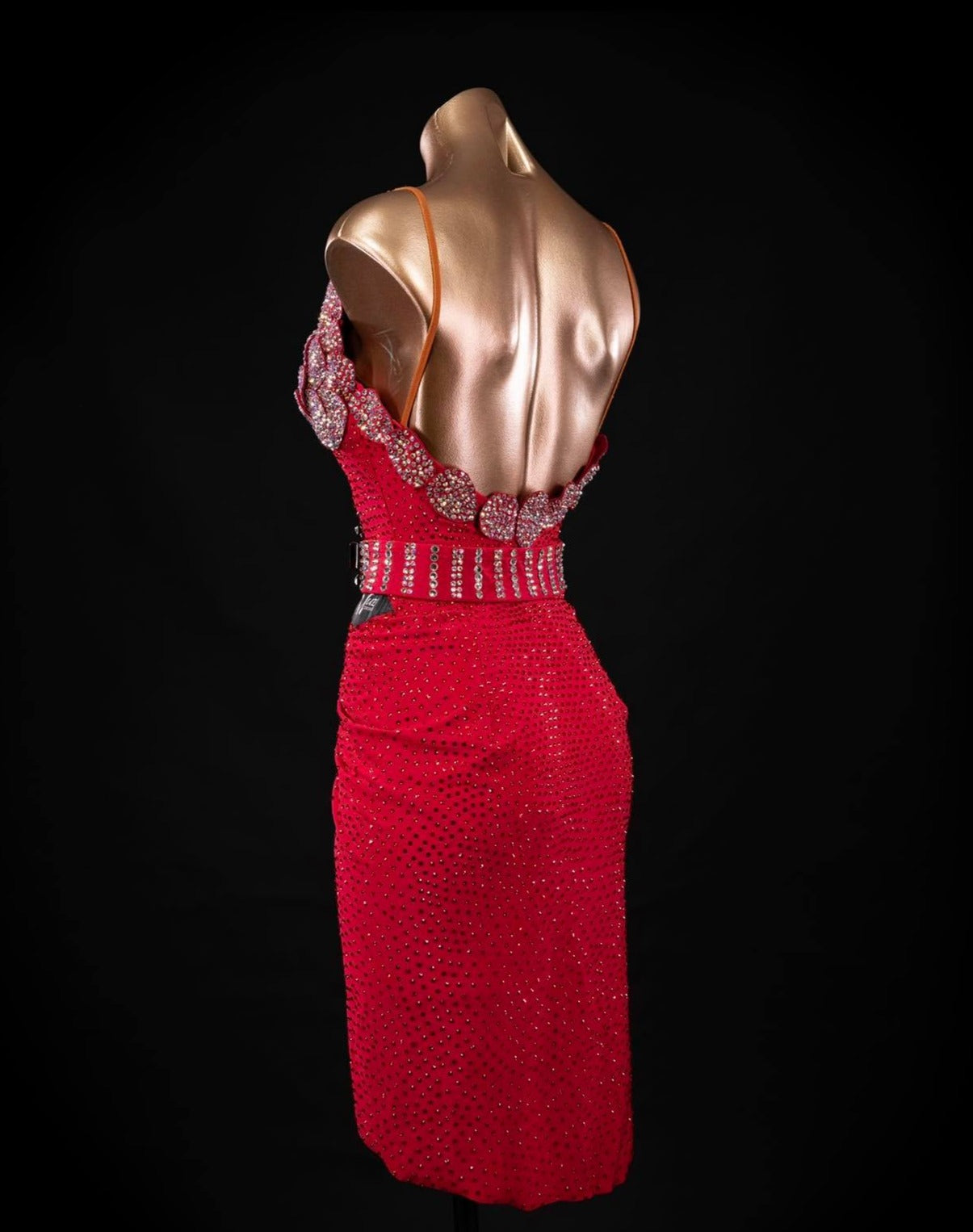 Rhythm, Latin, Smooth Ballroom dress for Rent/ Sale USA