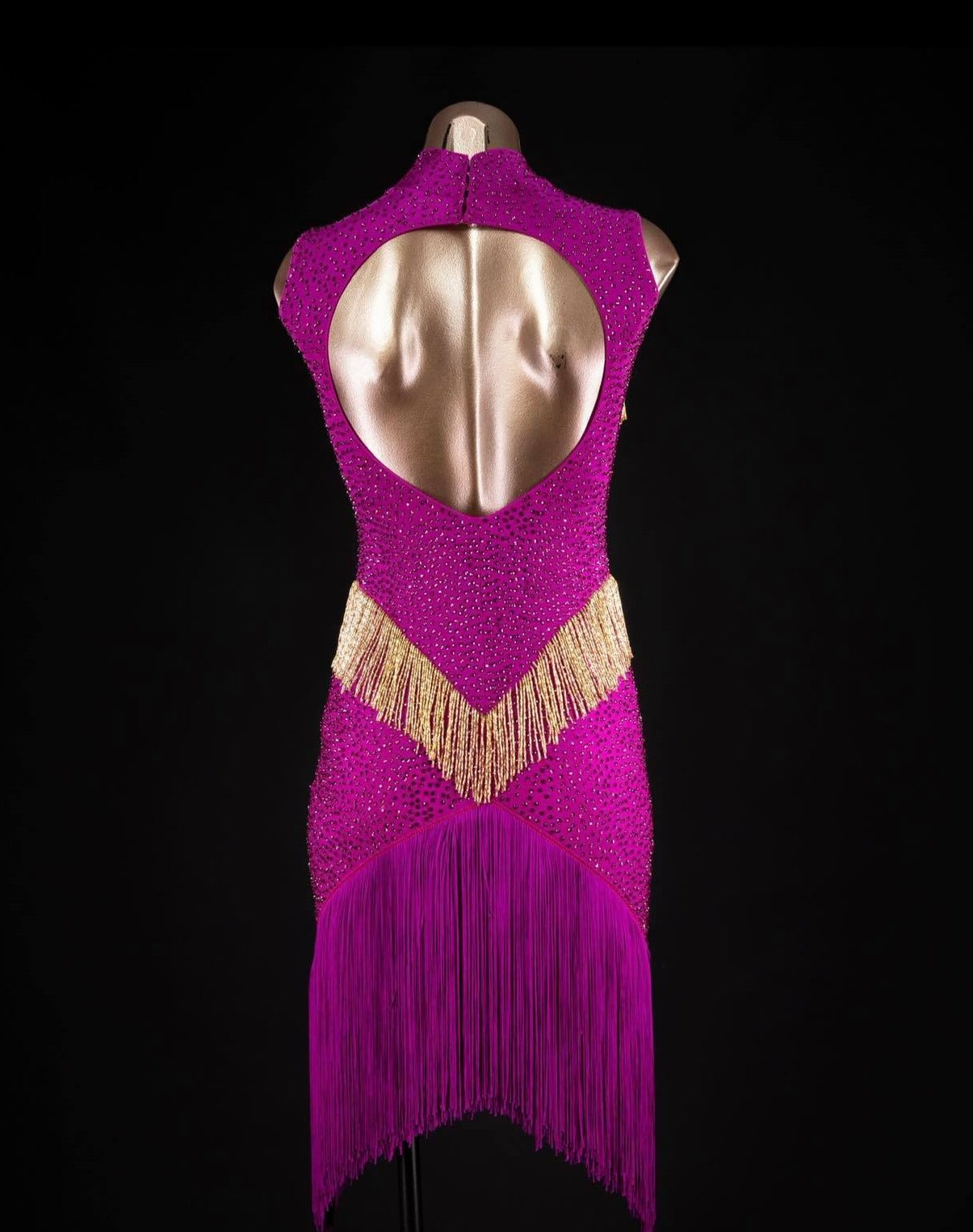 Rhythm/ Latin Dancesport Dress for Rent/Buy.