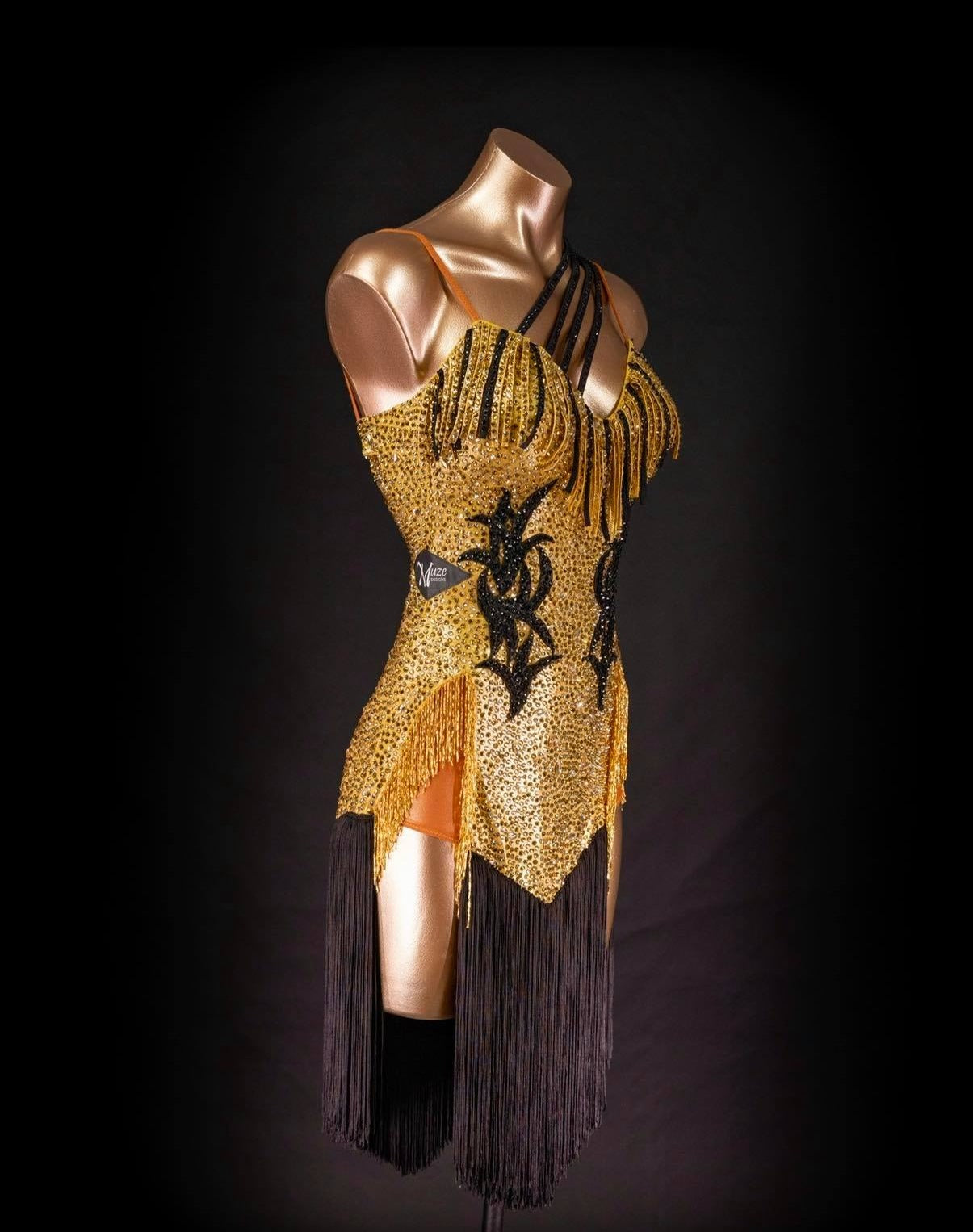 Rhythm, Latin, Smooth Ballroom dress for Rent/ Sale USA