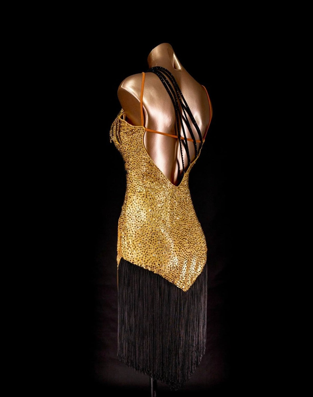 Rhythm, Latin, Smooth Ballroom dress for Rent/ Sale USA