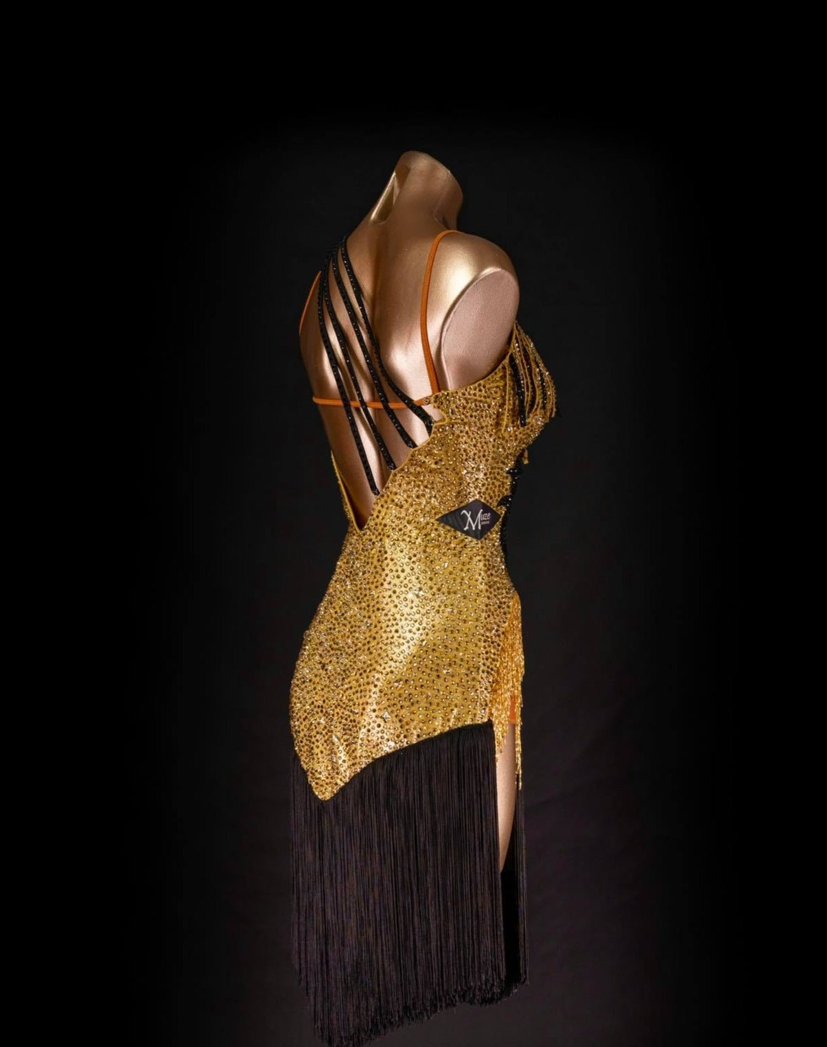Rhythm, Latin, Smooth Ballroom dress for Rent/ Sale USA