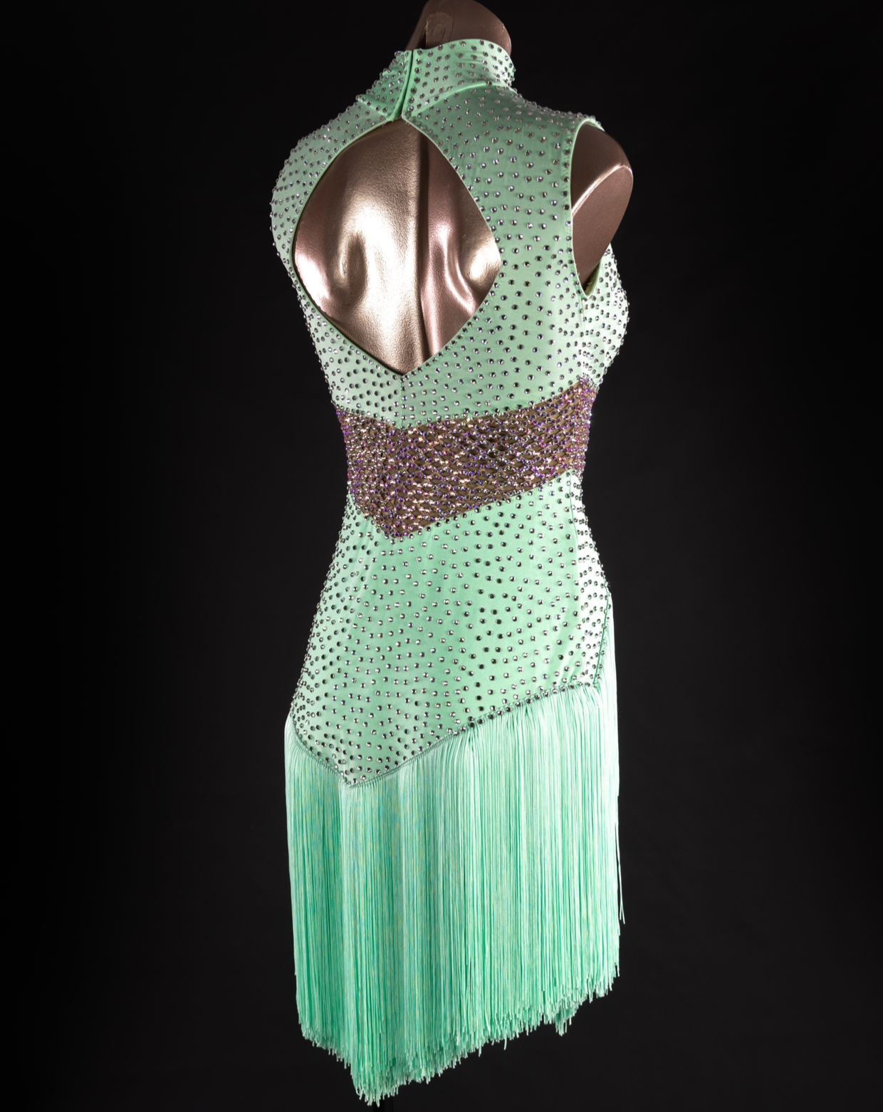 Rhythm, Latin, Smooth Ballroom dress for Rent/ Sale USA