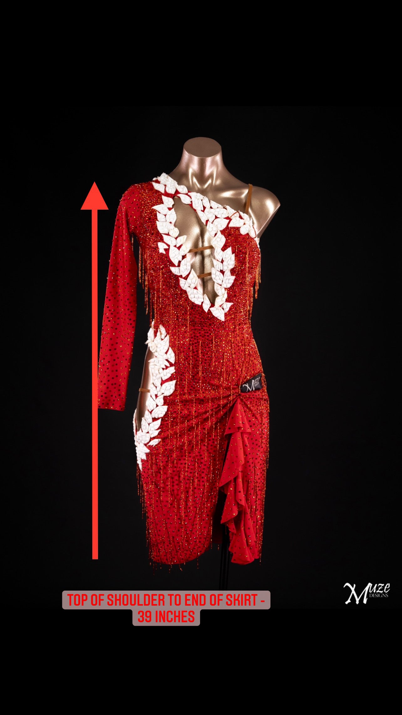 Rhythm, Latin, Smooth Ballroom dress for Rent/ Sale USA
