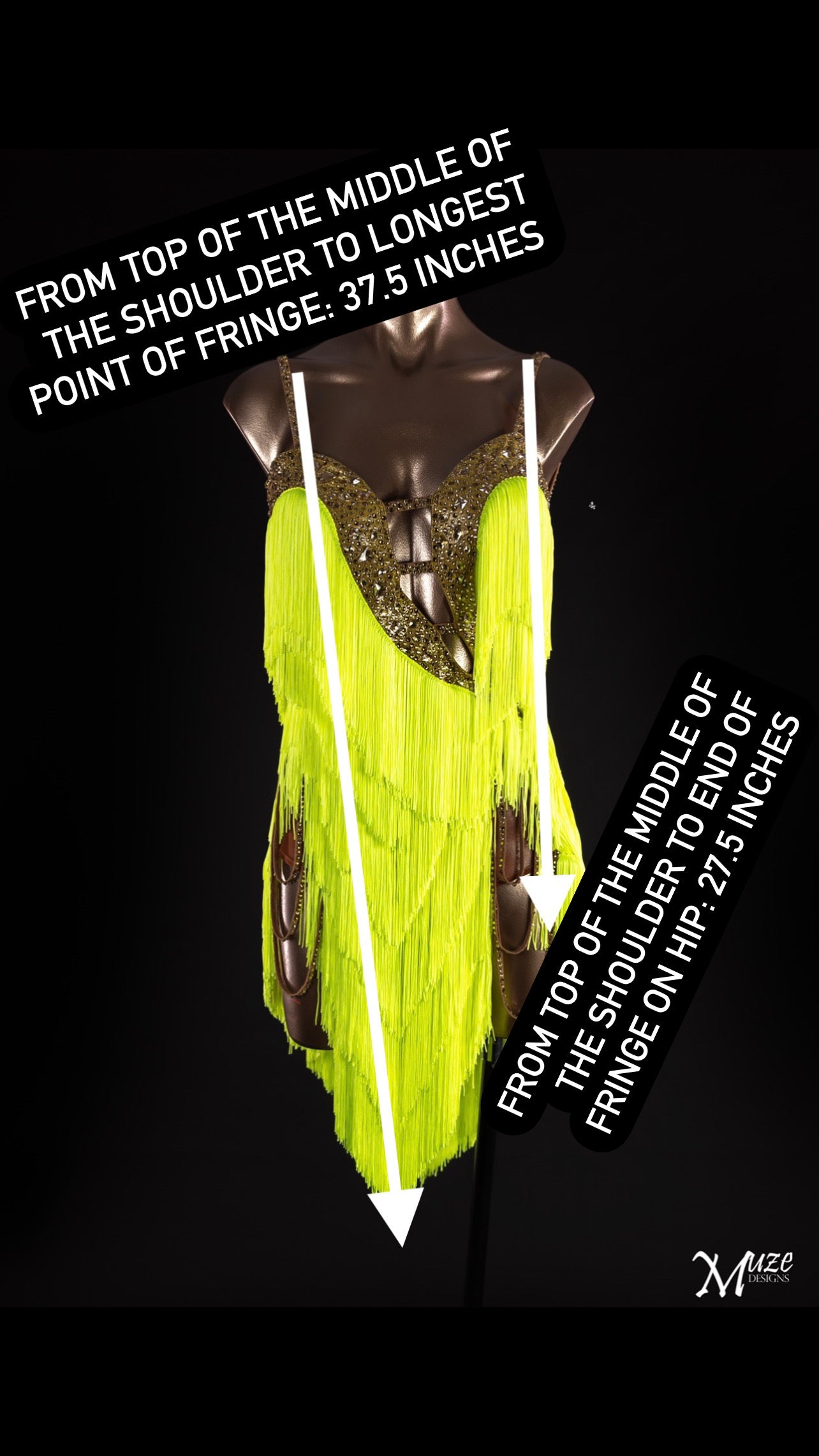 Frances Citrine Latin Fringe Dress