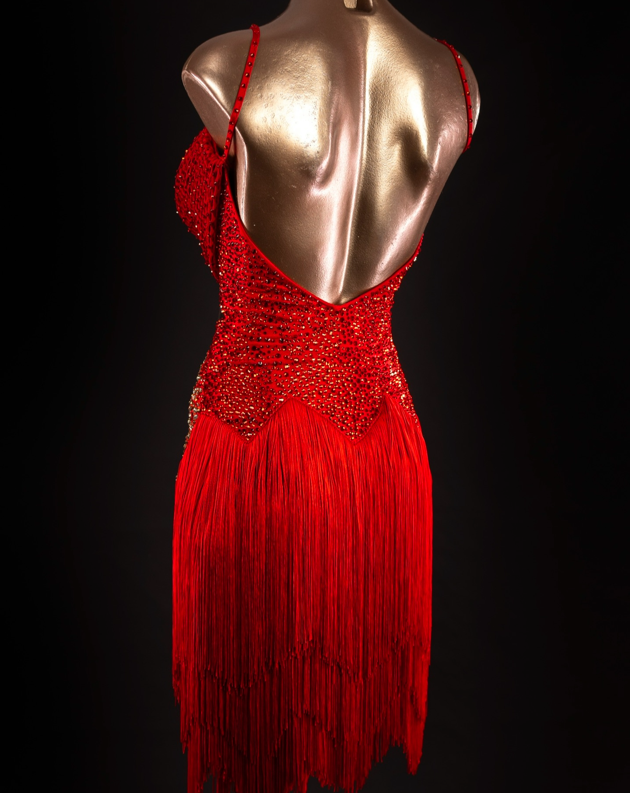 Rhythm, Latin, Smooth Ballroom dress for Rent/ Sale USA