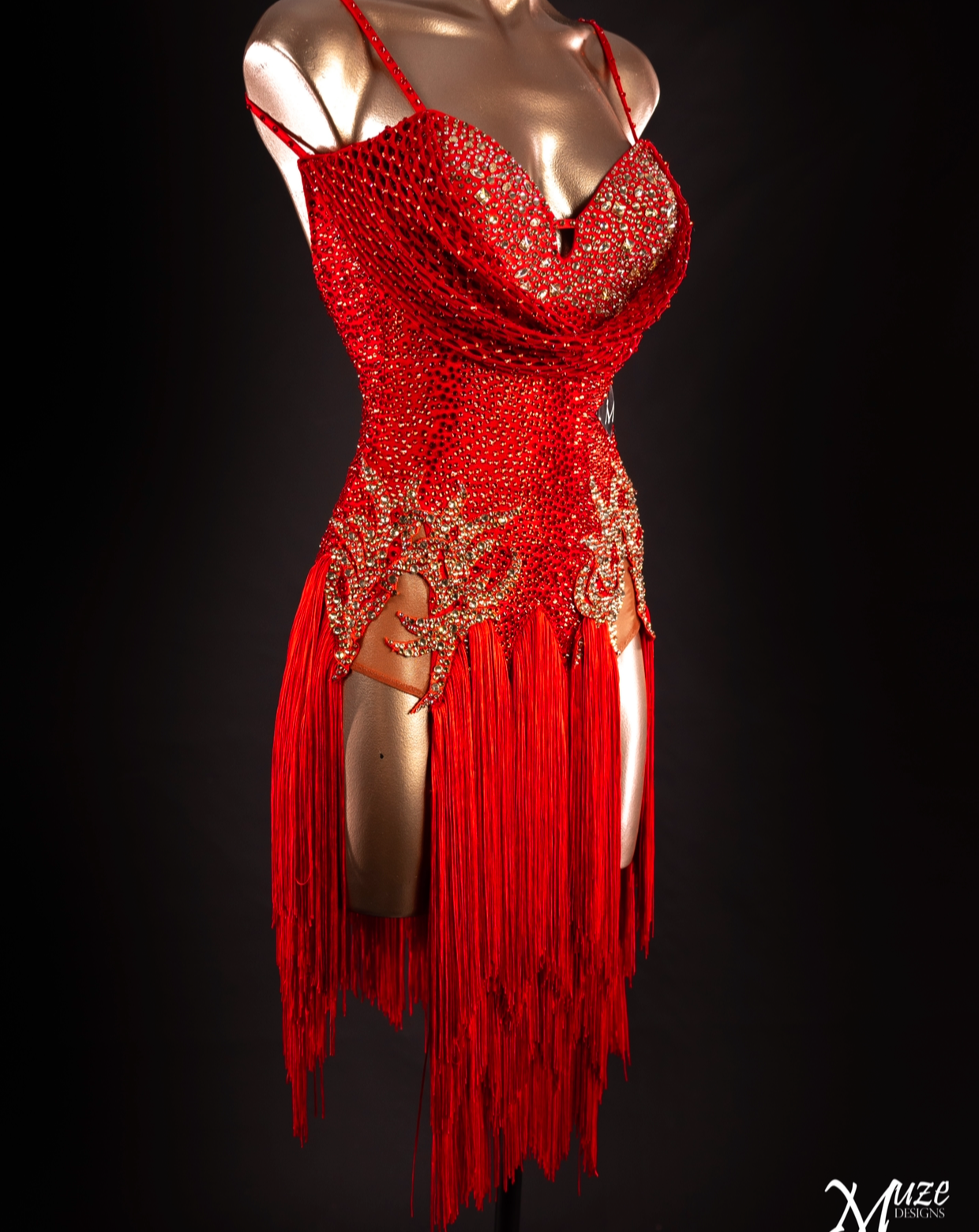 Rhythm, Latin, Smooth Ballroom dress for Rent/ Sale USA