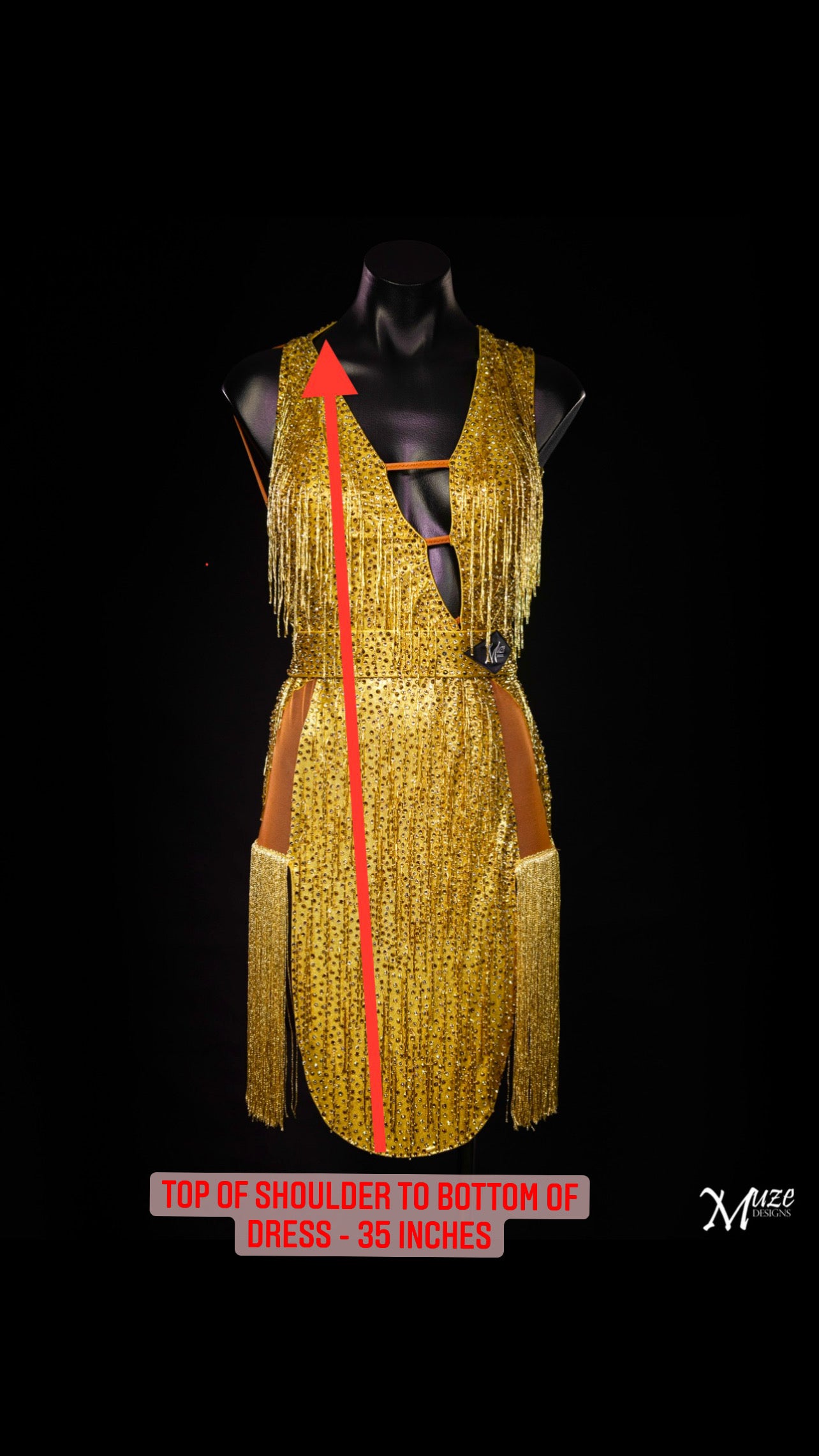 Rhythm, Latin, Smooth Ballroom dress for Rent/ Sale USA