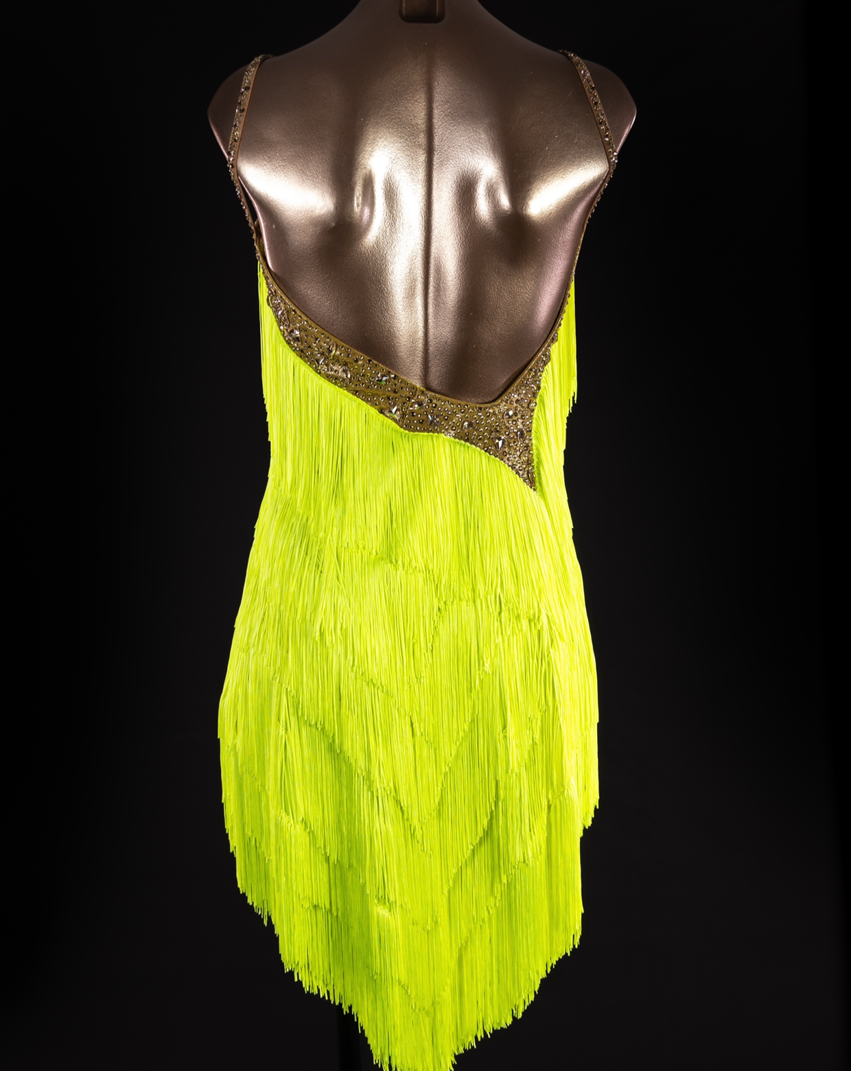 Frances Citrine Latin Fringe Dress