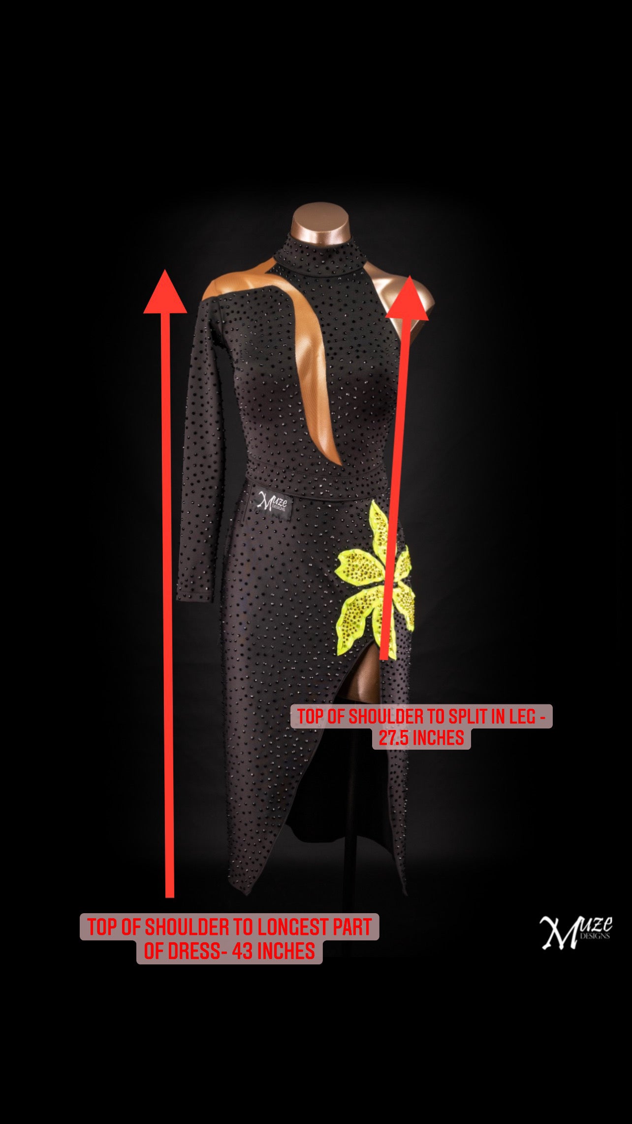 Rhythm, Latin, Smooth Ballroom dress for Rent/ Sale USA
