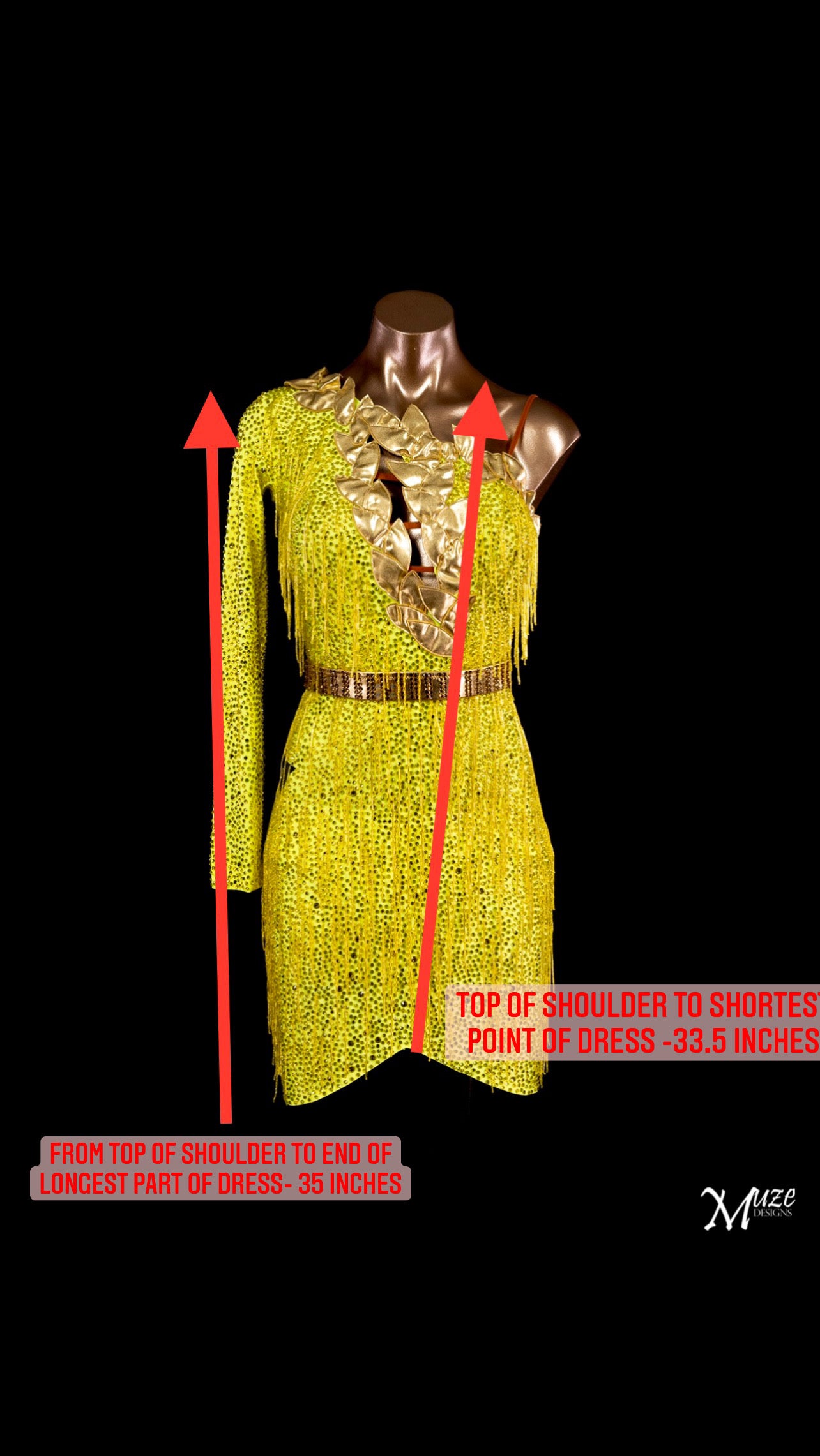 Rhythm, Latin, Smooth Ballroom dress for Rent/ Sale USA