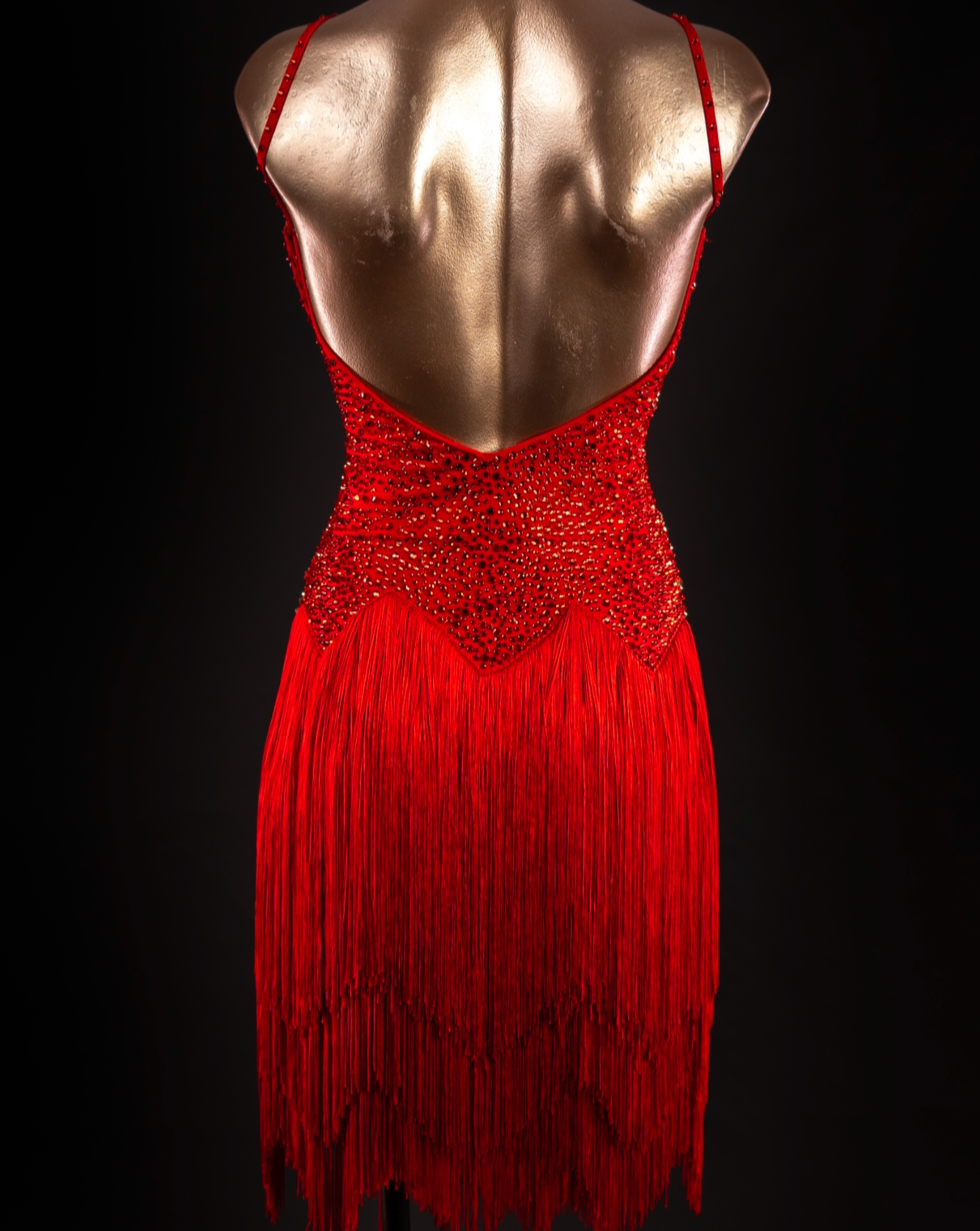 Rhythm, Latin, Smooth Ballroom dress for Rent/ Sale USA