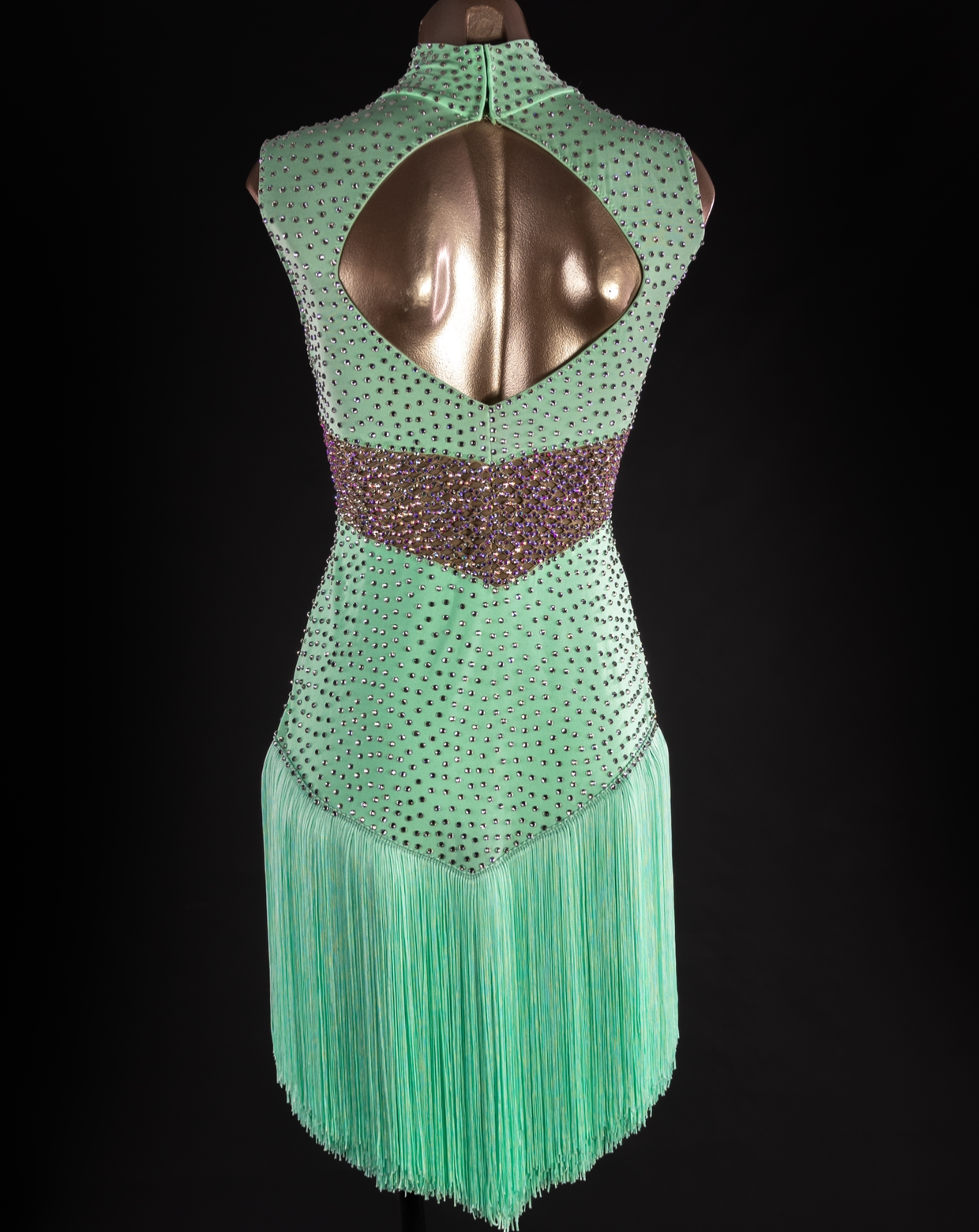 Rhythm, Latin, Smooth Ballroom dress for Rent/ Sale USA