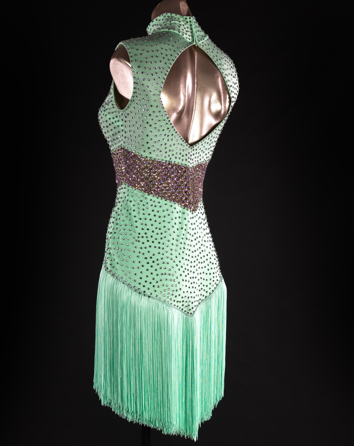 Rhythm, Latin, Smooth Ballroom dress for Rent/ Sale USA