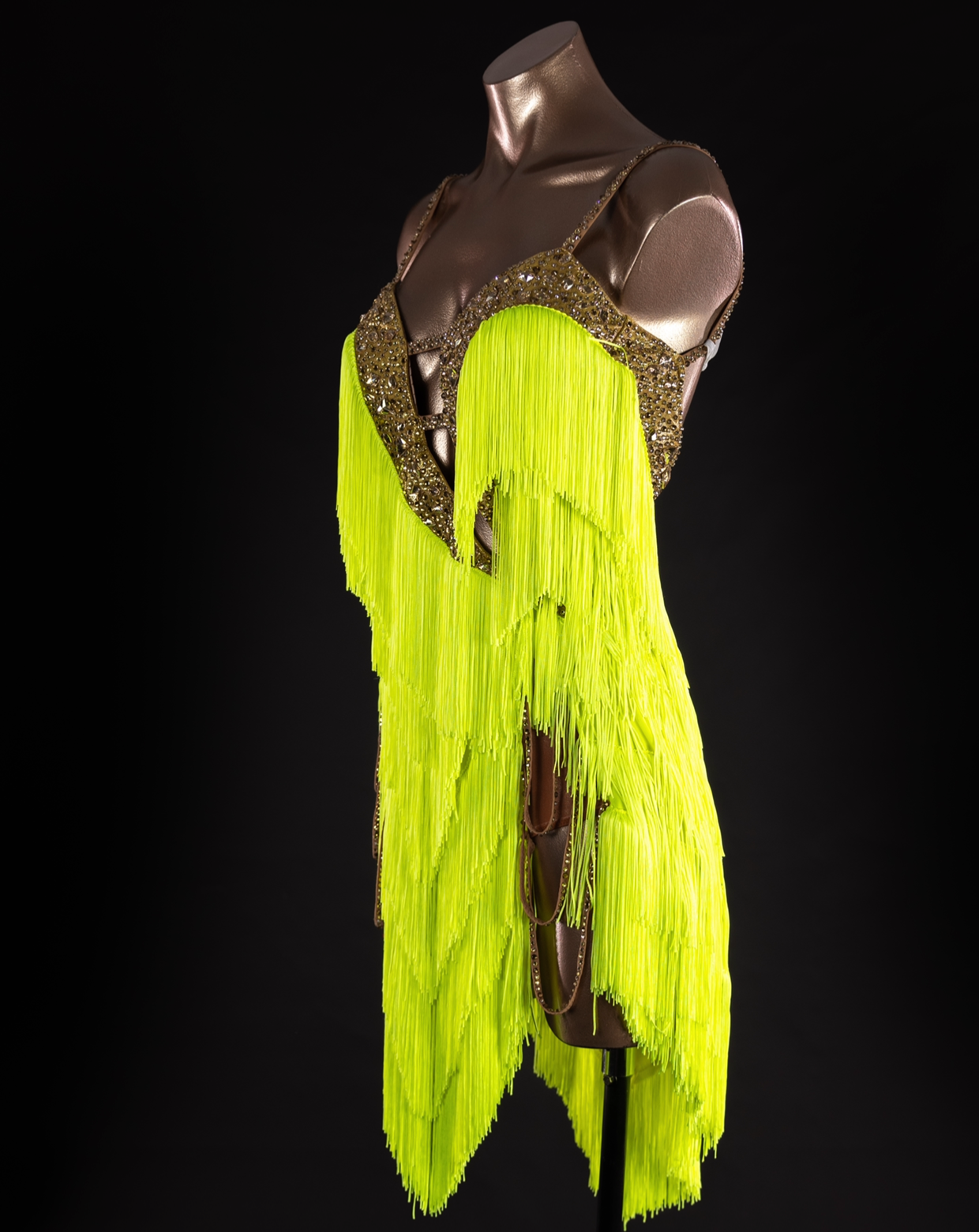 Frances Citrine Latin Fringe Dress