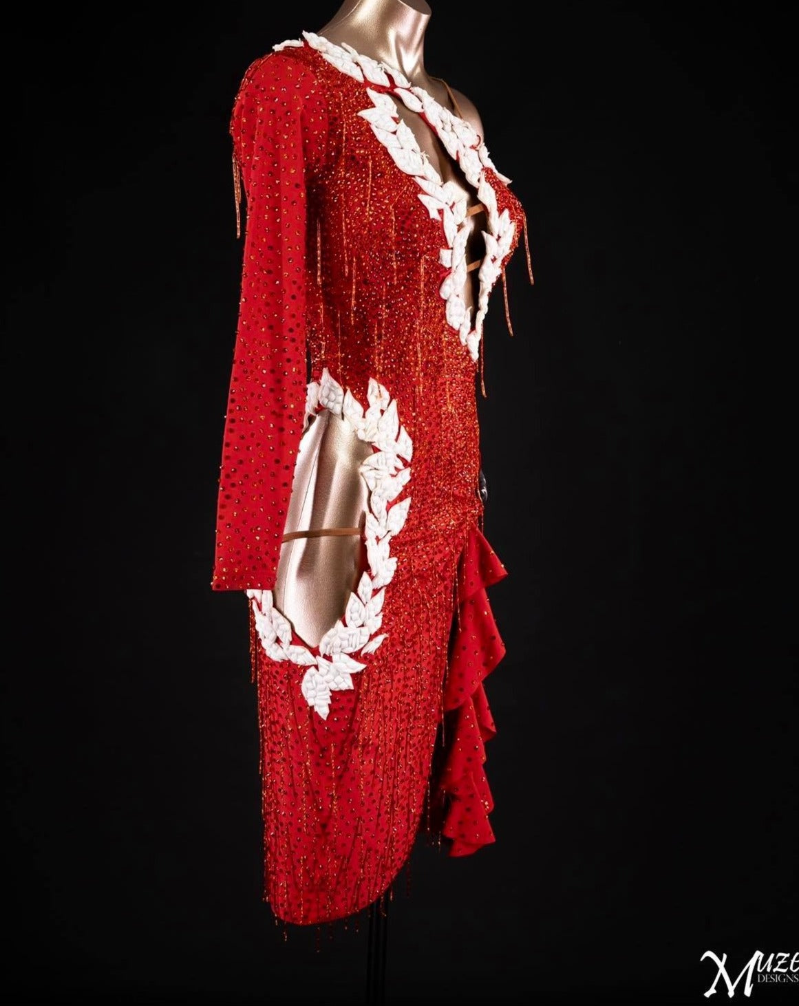 Rhythm, Latin, Smooth Ballroom dress for Rent/ Sale USA