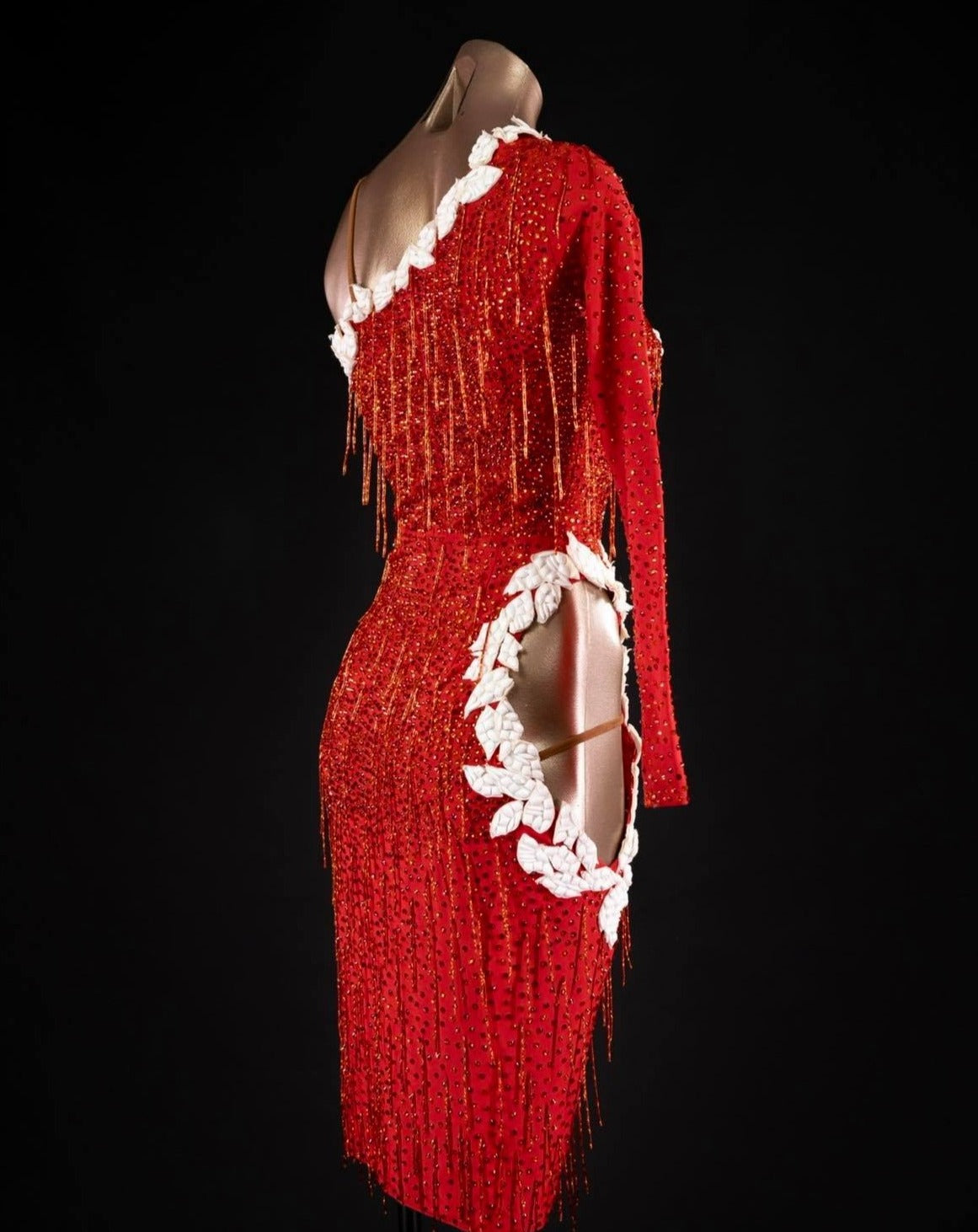 Rhythm, Latin, Smooth Ballroom dress for Rent/ Sale USA
