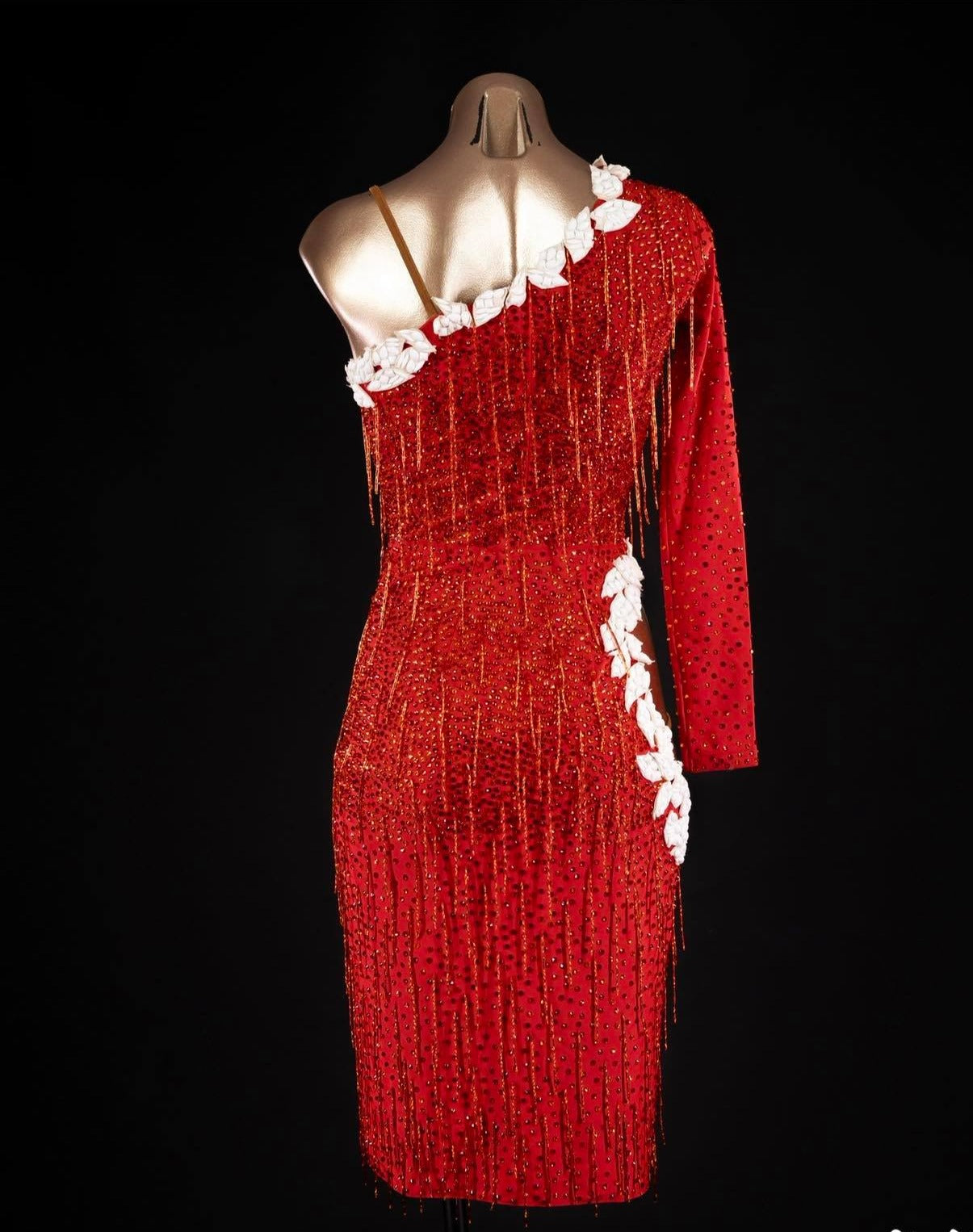 Rhythm, Latin, Smooth Ballroom dress for Rent/ Sale USA