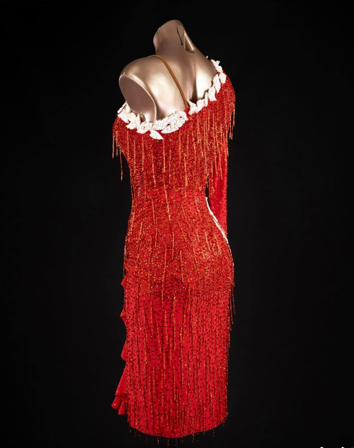 Rhythm, Latin, Smooth Ballroom dress for Rent/ Sale USA