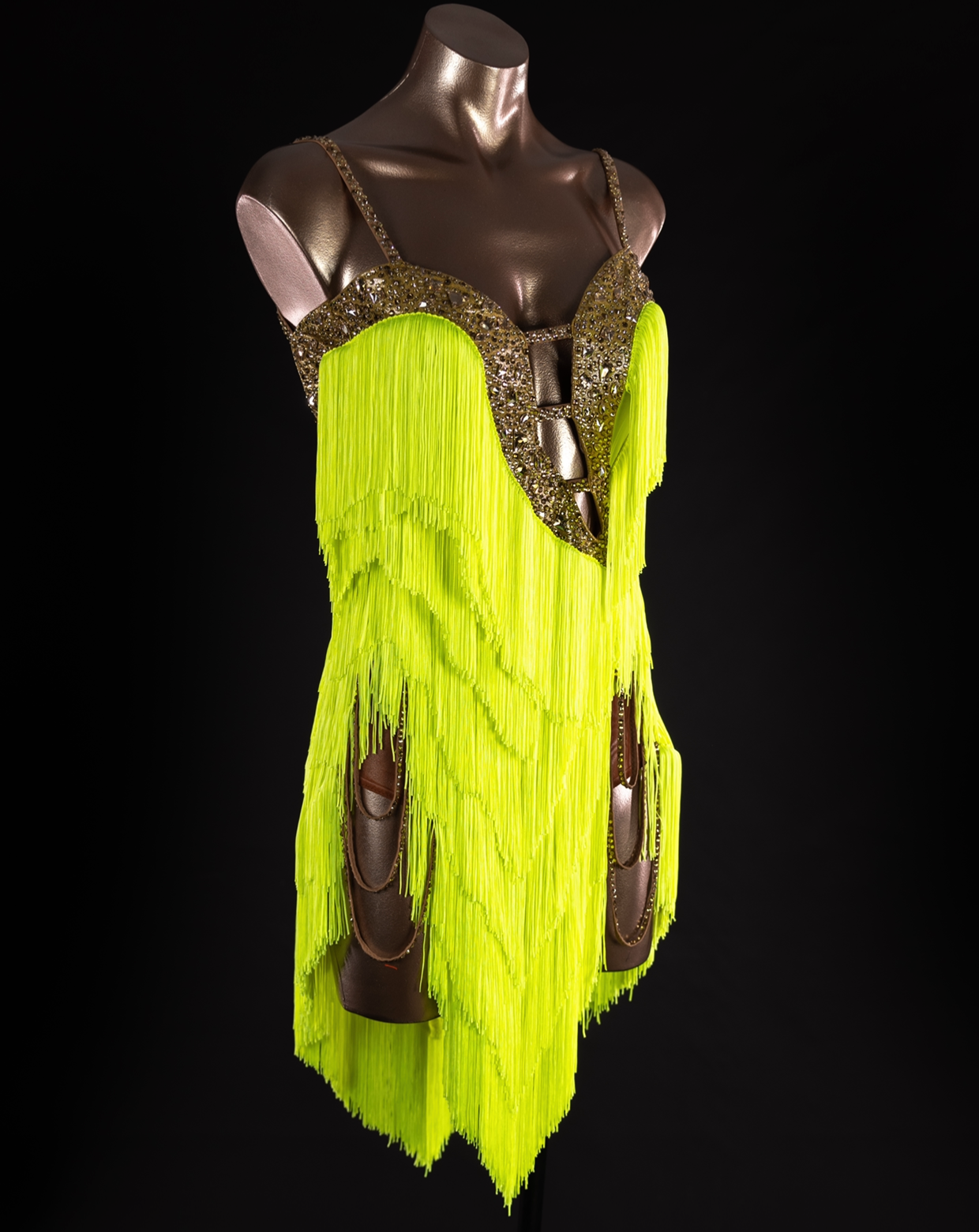 Frances Citrine Latin Fringe Dress